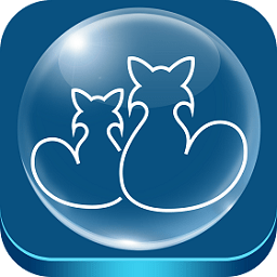 从安博APP获取权威资讯，提升您的知识技能